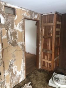 Termite damage on interior wall by Rose Pest Solutions