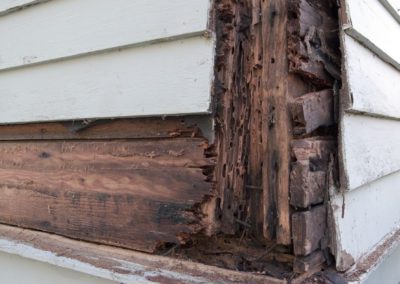 termite damage under siding on house by Rose Pest Solutions