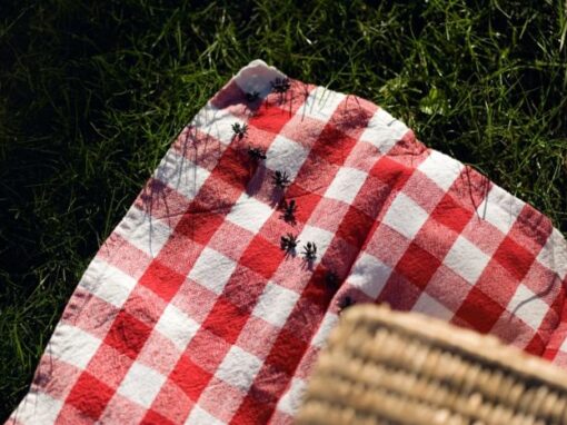 Ants crawling across a fabric blanket