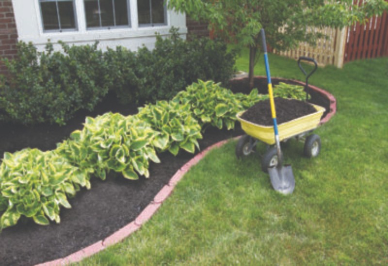Spring Cleaning and Pest Proofing the House Go Hand-in-Hand!
