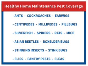 The poster of Healthy Home Maintenance Pest covers