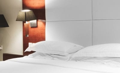 Commercial Bed Bug Control for Businesses, Hotels, Condo Associations, Hostels, AirBnBs, Vrbos, etc.