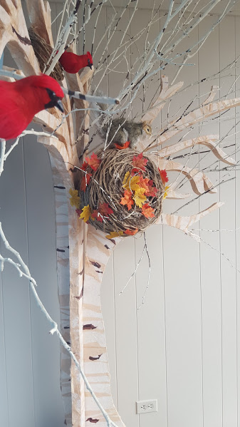 squirrel nest and cardinals chicago storefront display 2015