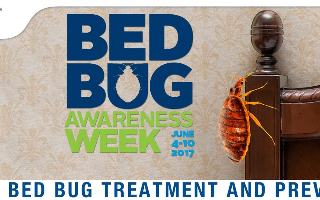 Bed Bug Awareness Week: Bed Bug Control and Prevention