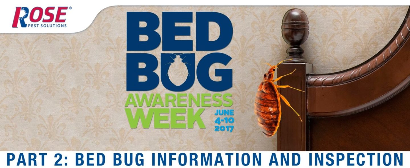ROSE_bed_bug_awareness_week_part_two.jpg