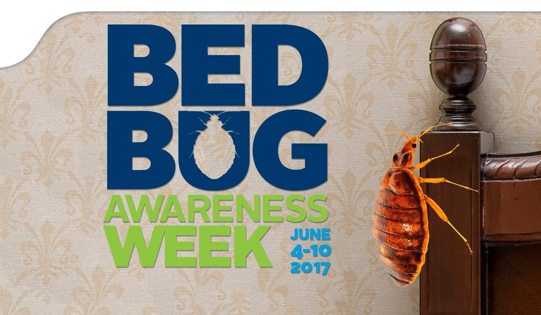 Welcome To Bed Bug Awareness Week: Introduction and Awareness