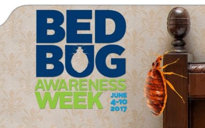Welcome To Bed Bug Awareness Week: Introduction and Awareness
