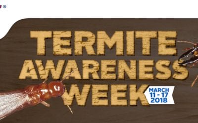 Termite Awareness Week: Property Damage
