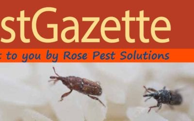 Get the Free Rose Pest Solutions Fall Pest Gazette!