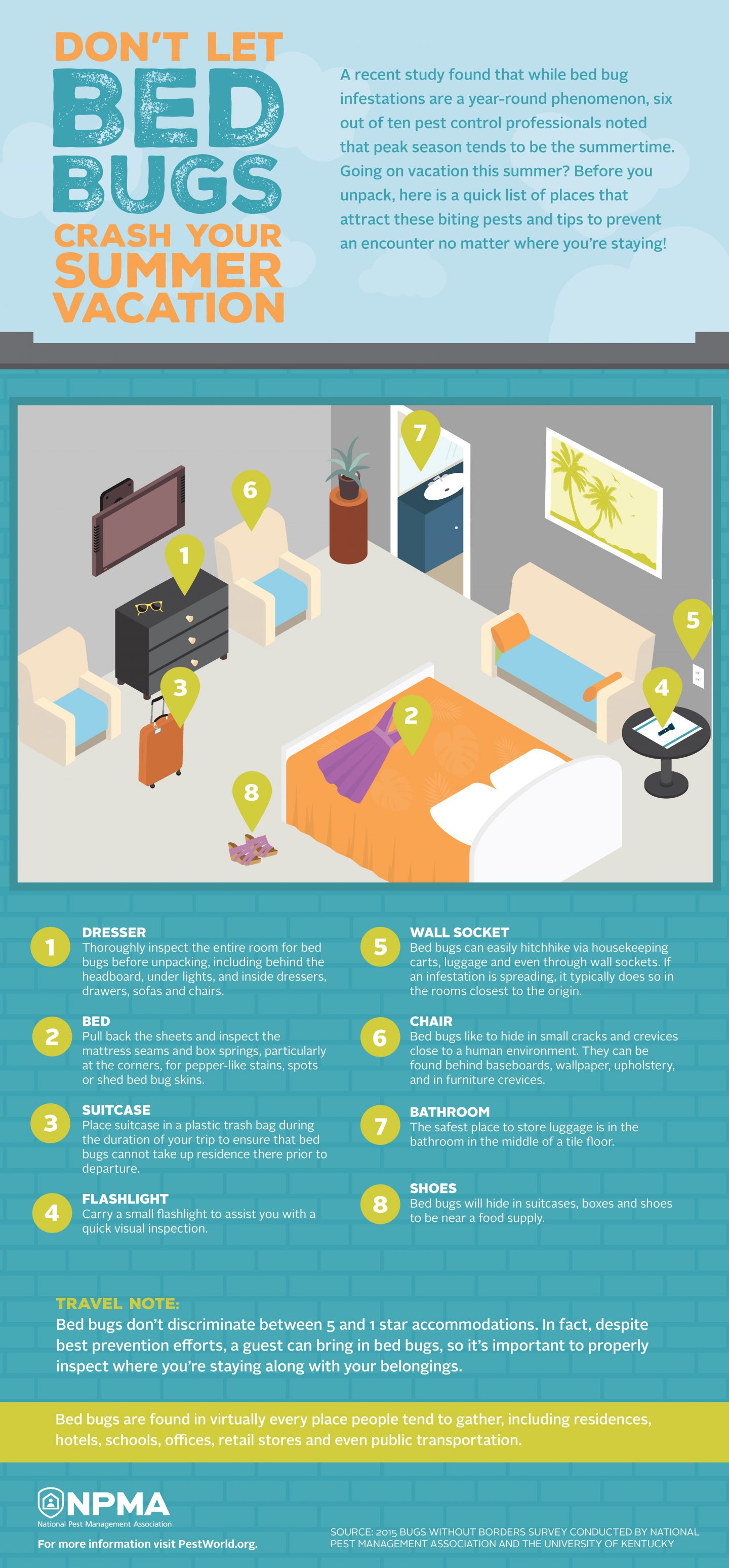 bedbug-hotel-infographic-053117-1.jpg