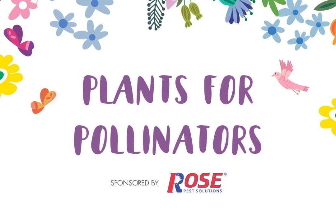 Catch Rose Pest Solutions at the Plants for Pollinators Garden Sale