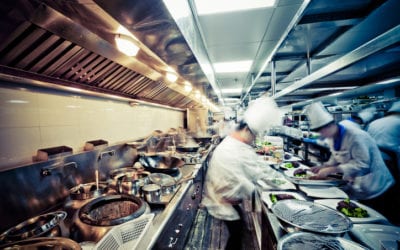 Effective Drain Sanitation Program for Restaurants and Other Businesses