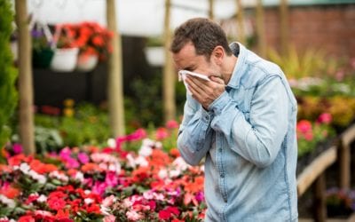 Spring Allergies? It Might Be More Than Just Pollen
