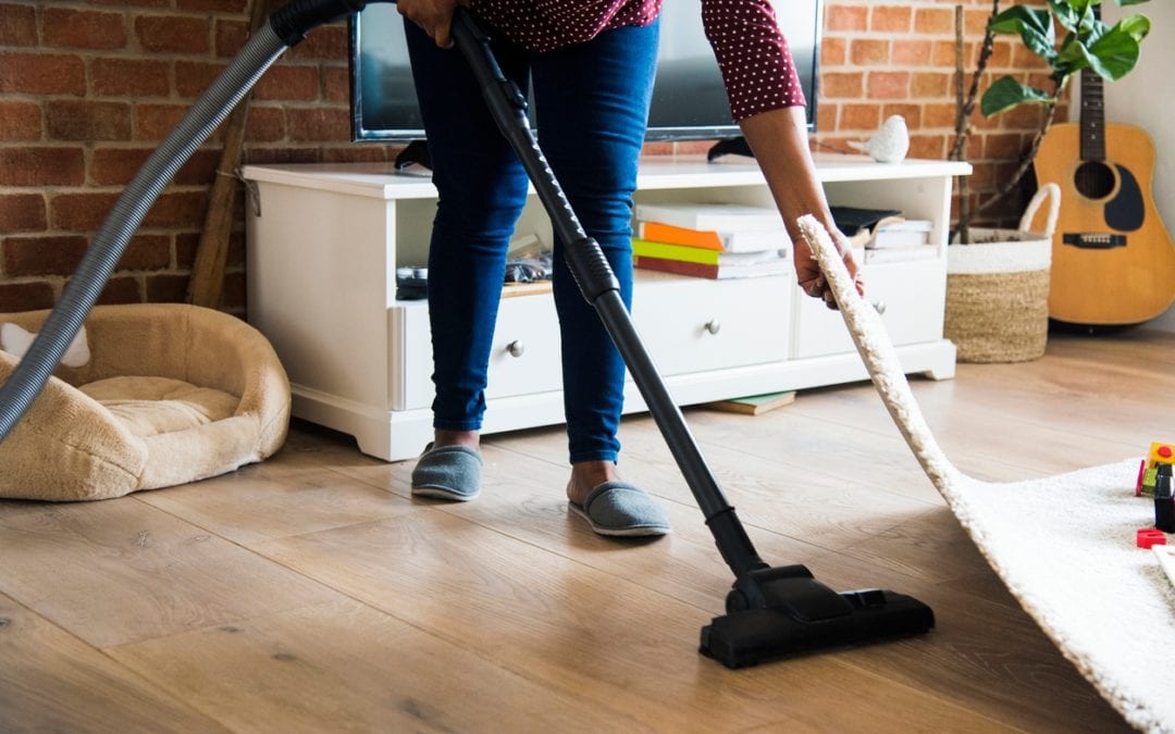 Spring Cleaning Pest Tips