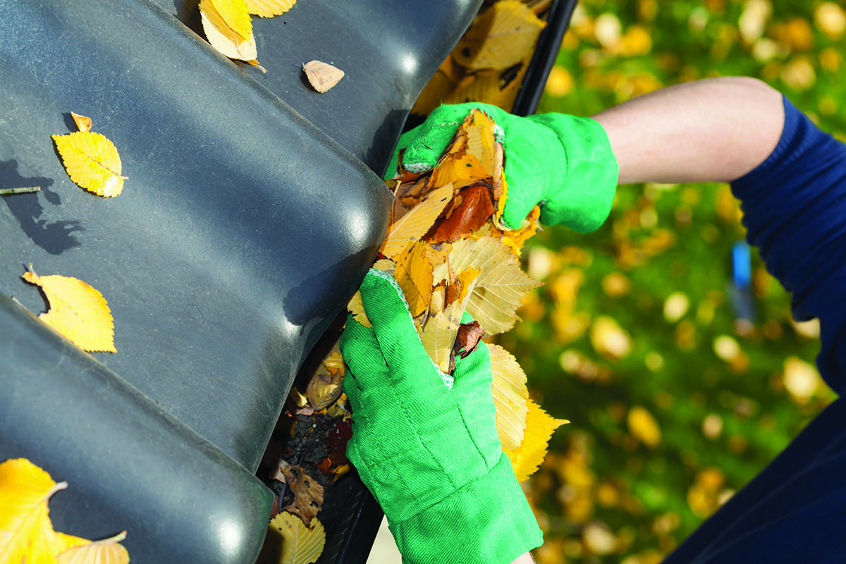 cleaning leaves out of gutters