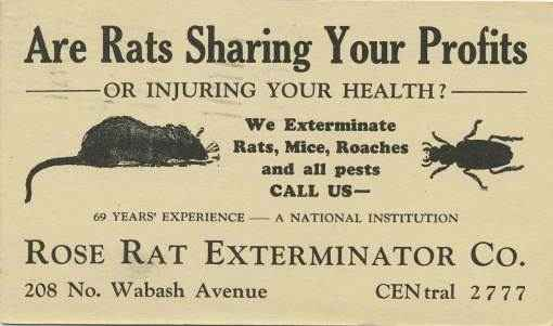 vintage Rose Rat Exterminator Postcard