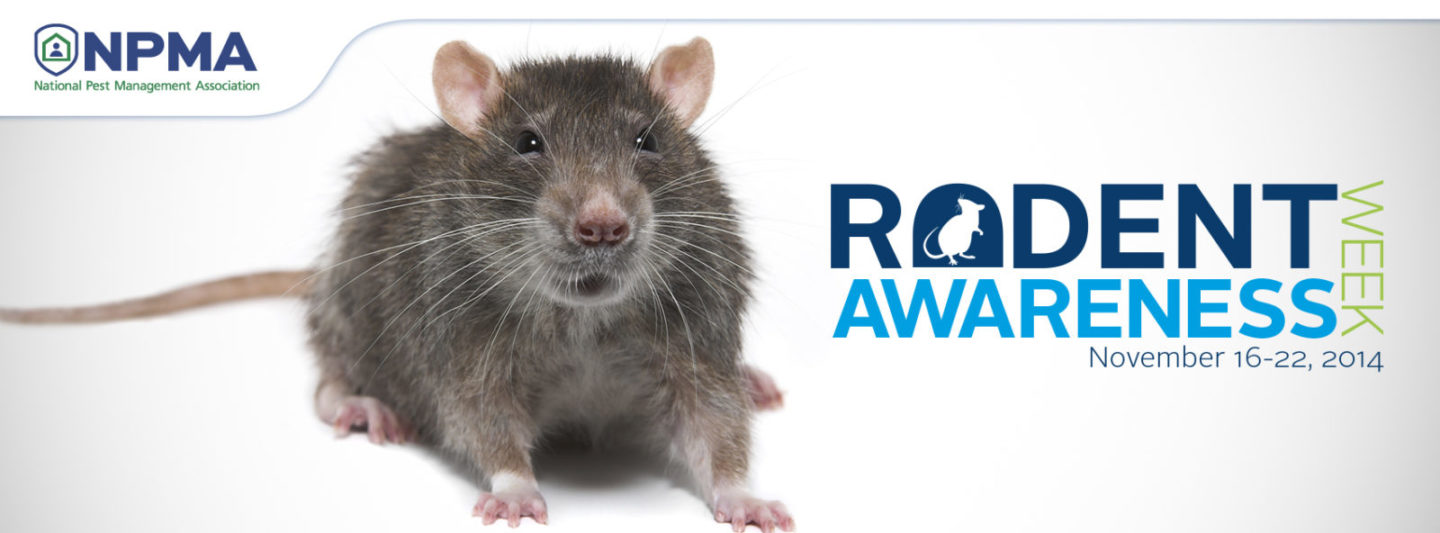 rodent_awareness_week_facebook_cover_photo