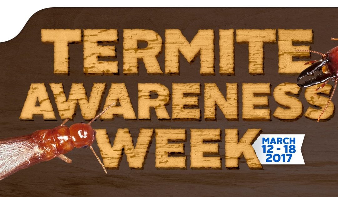 Welcome to Termite Awareness Week