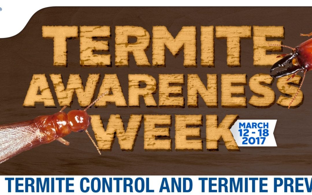Termite Awareness Week: Control and Prevention