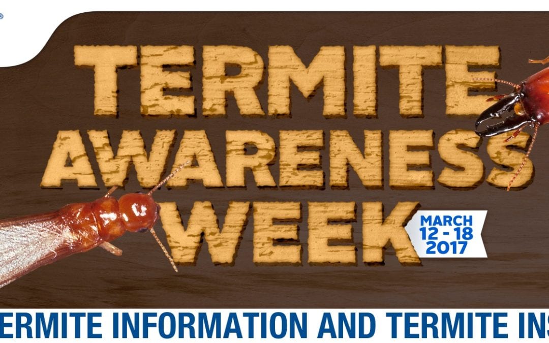 Termite Awareness Week: Information and Inspection