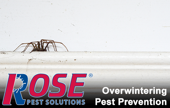 Prep For Fall With These Tips On Overwintering Pests