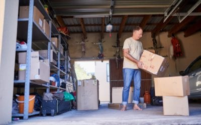 Overwintering Pests You’ll Encounter While Spring Cleaning