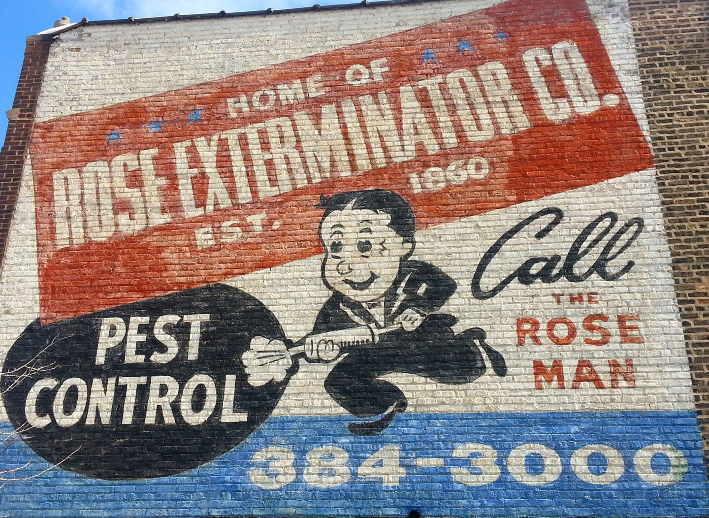 Rose Pest Control