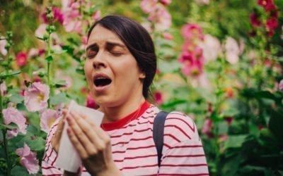 Sneezing and coughing? It’s Allergy Awareness Month