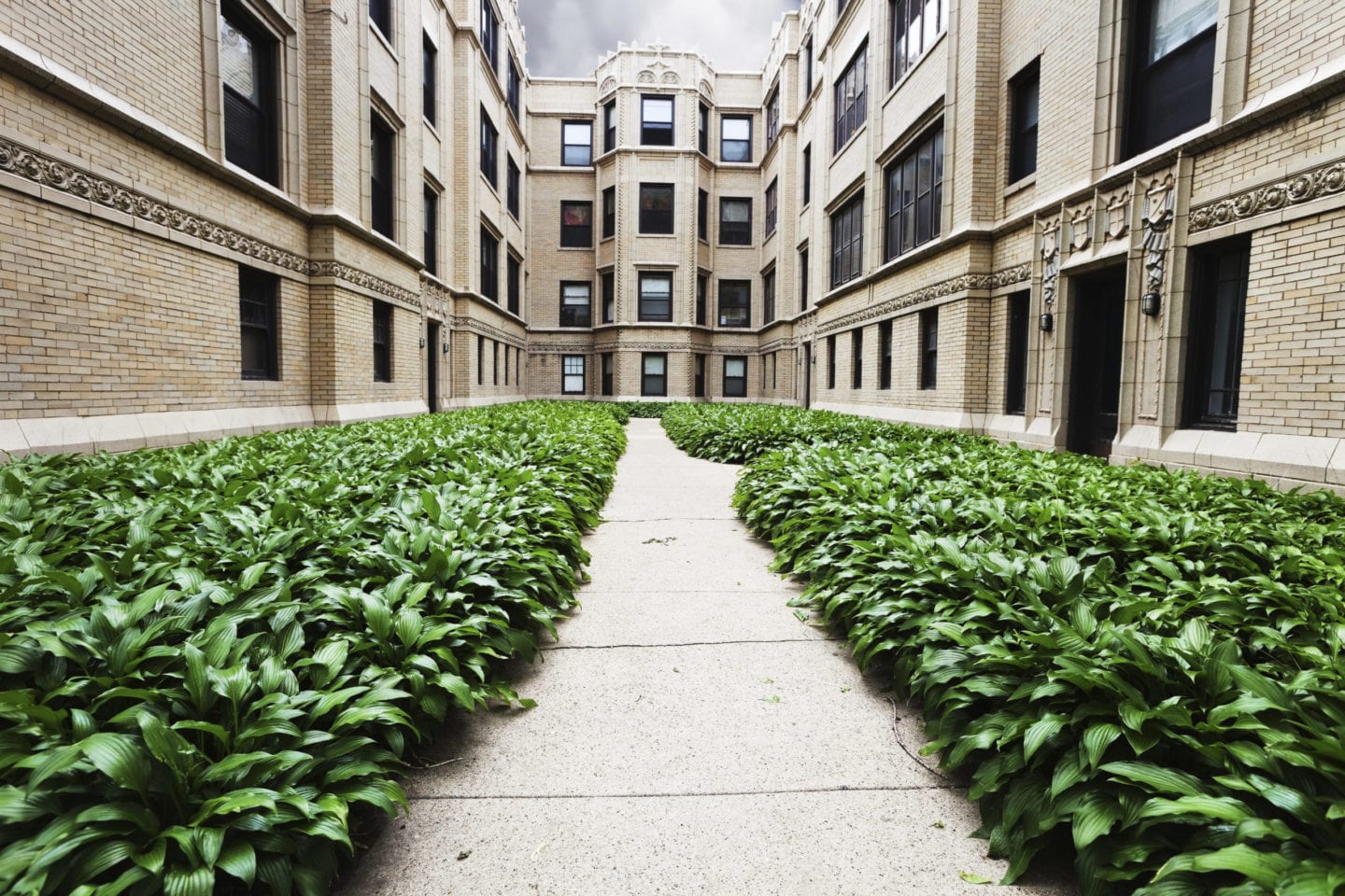 Rose Pest Solutions for Landlords and Property Managers