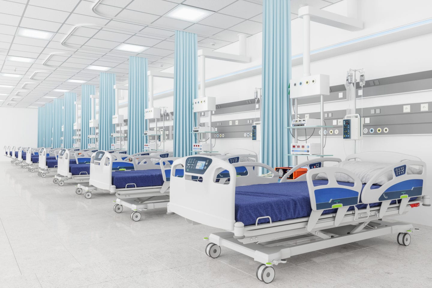Row of hospital beds by Rose Pest Solutions