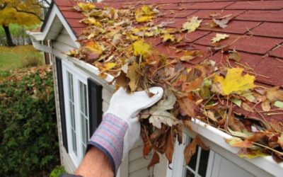 Top 5 Tips on Keeping Fall Pests Out