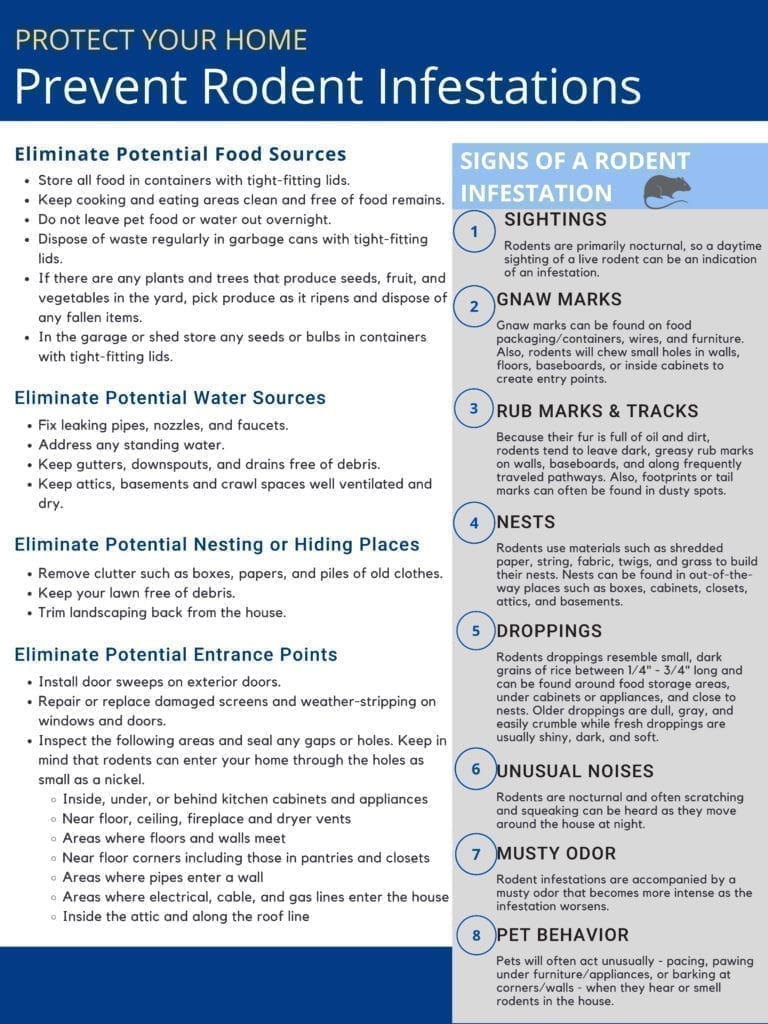 Rodent Awareness Week How to Keep Rodents Out Rose Pest Solutions
