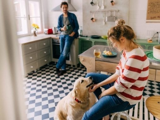 Couple in their kitchen playing with dog in Racine, WI
