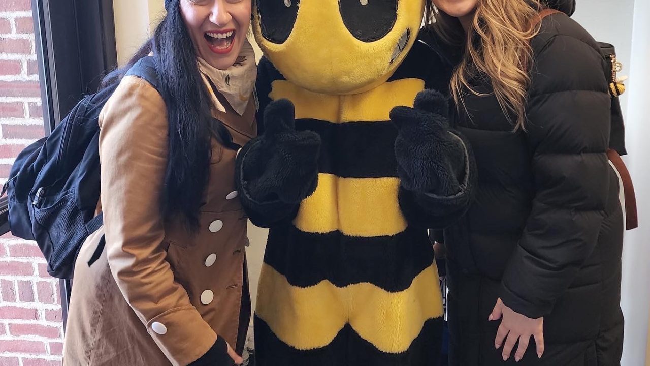 Rose Pest Solutions Chicago's Most Trusted Exterminators