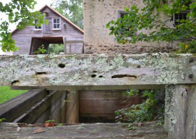 Carpenter bee holes in home in IN