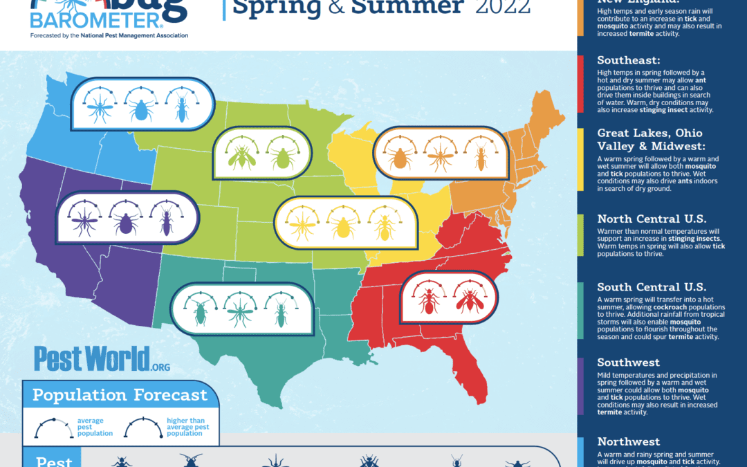 Summer Pest Forecast & Mosquito Prevention Tips