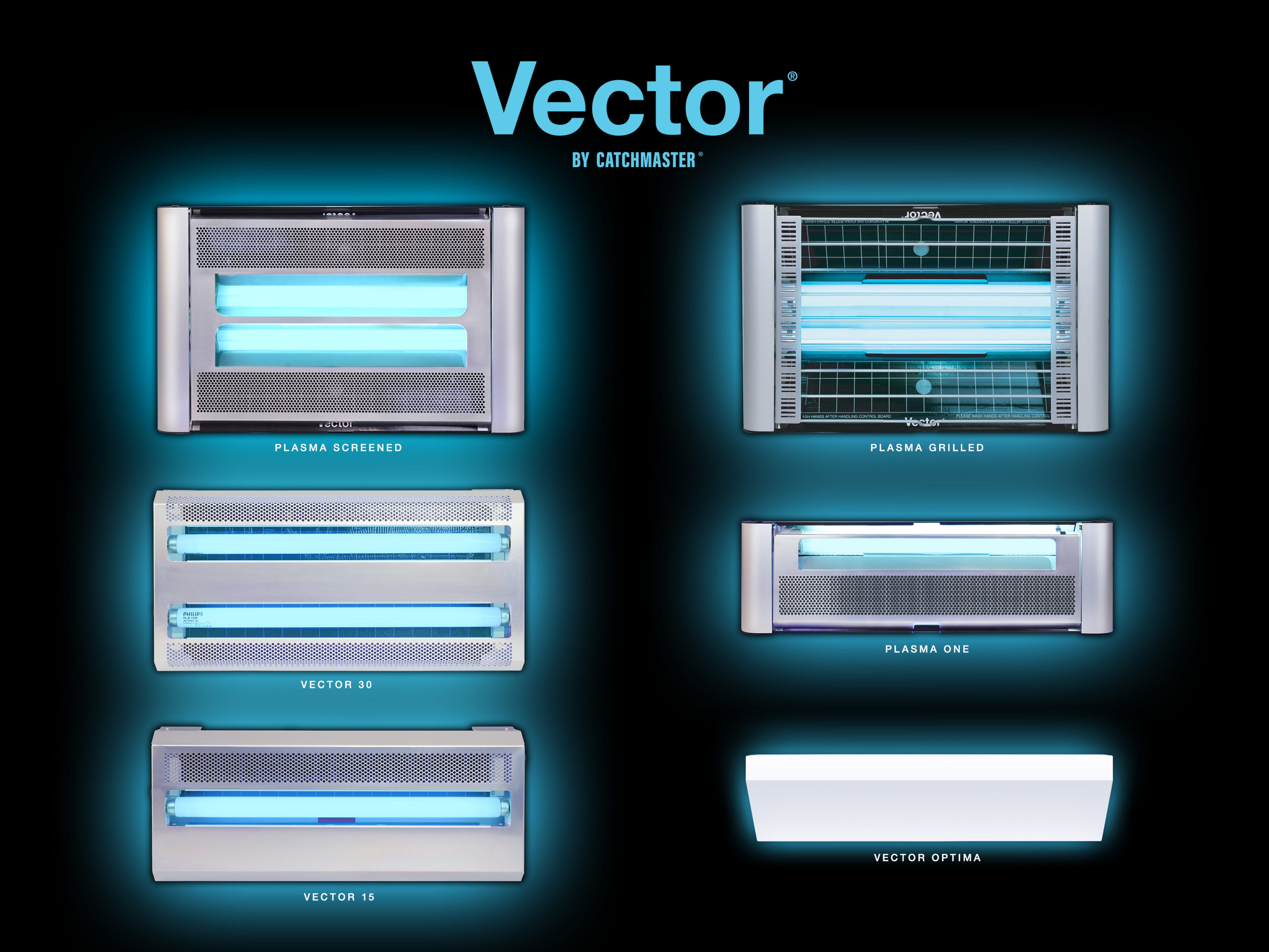 Vector_family_ppt_slide77