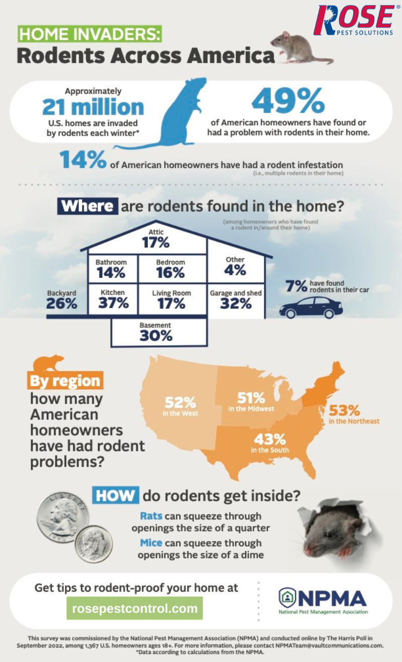 Rose Pest Solutions Rodent Infographic Nv 2022