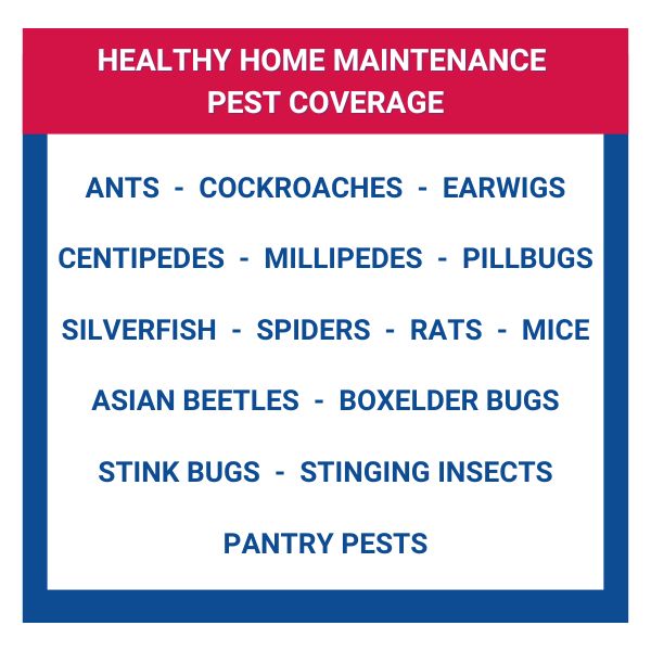 Home Pest Maintenance Program Rose Pest Solutions
