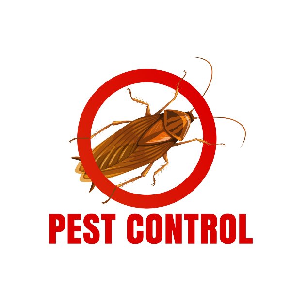 Pest Control Near Me