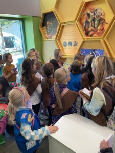 Girl Scouts learning about honeybees at the Kohl Children's Museum