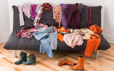 common pest invasions in clothes on couch
