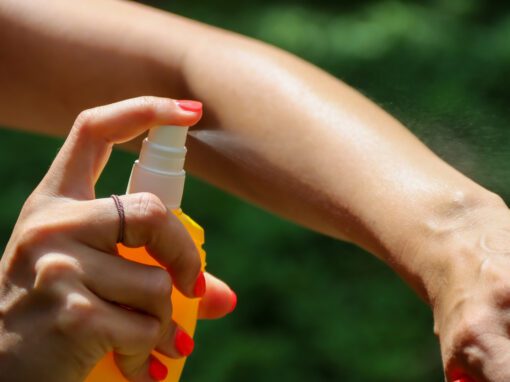 what's the best insect repellent