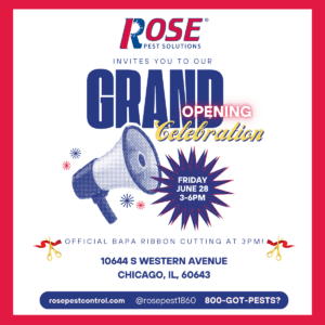 Rose south chicago Grand Opening Flyer