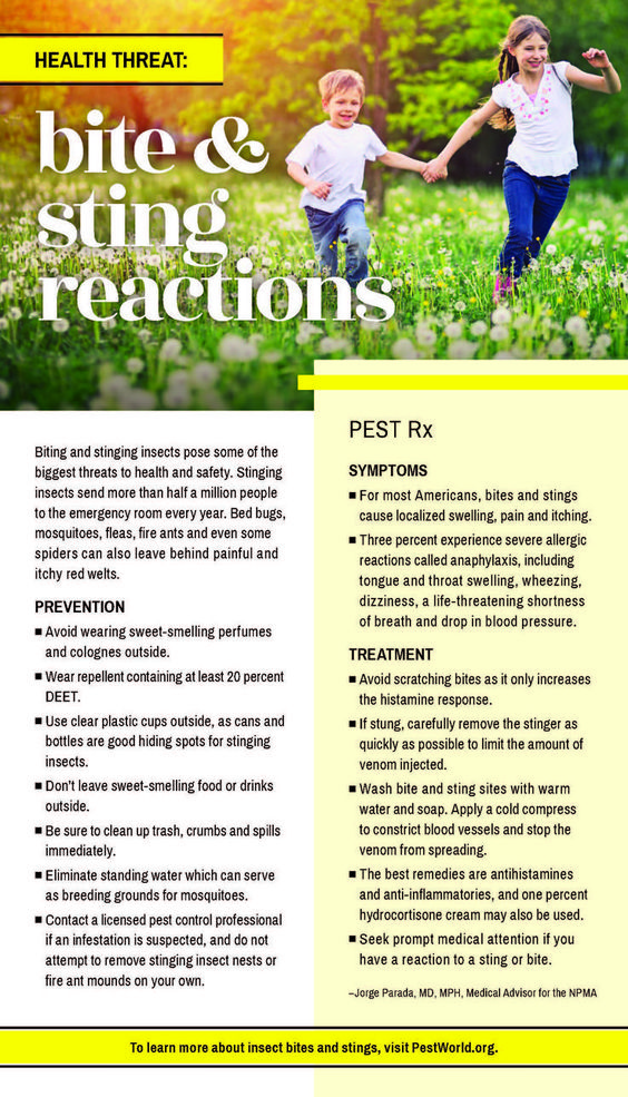 stinging insect season 101 graphic