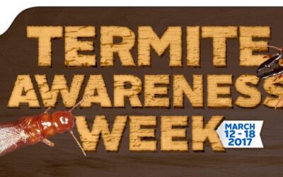 Welcome to Termite Awareness Week