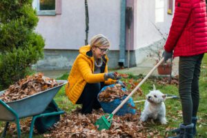 Mother and daughter doing yard work in the fall, Chicago, IL