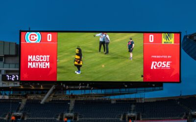 Zippy the Honey Bee Rose mascot on soldier field during mascot mayhem