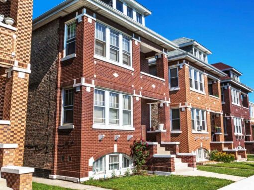 Bumblebee Pollinating Flower