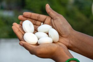 A pair of hands holding several white, oval-shaped camphor tablets with a blurred green background, raising the question: do mothballs work to keep bugs away?